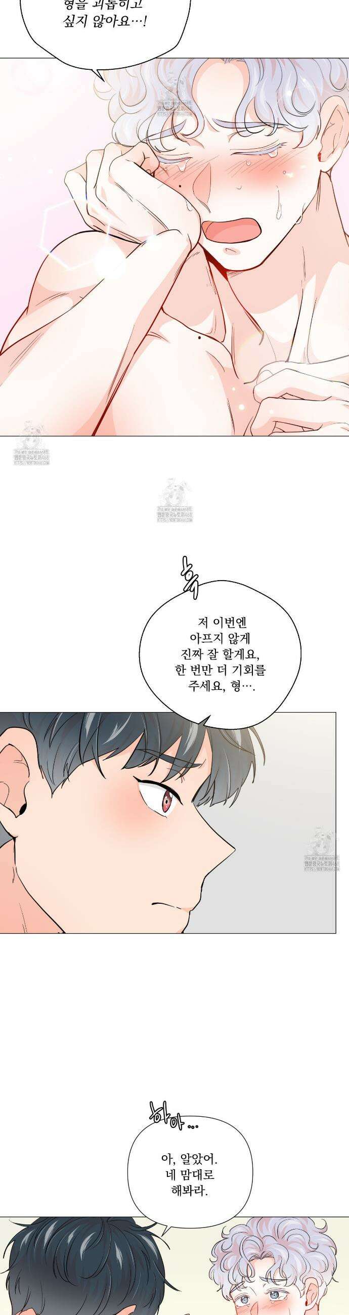 호랑이 생일 떡 8화 17