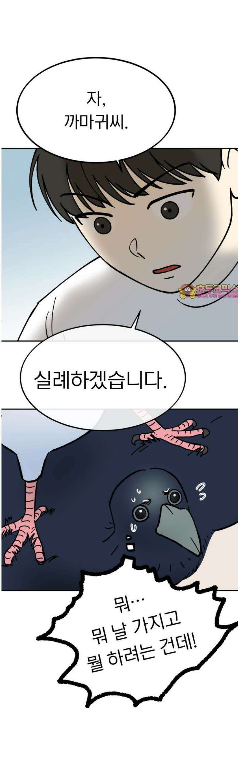성북구 비둘기 이헌서 52화) 까악 까악 엉엉엉  [시즌1 마지막화] 1