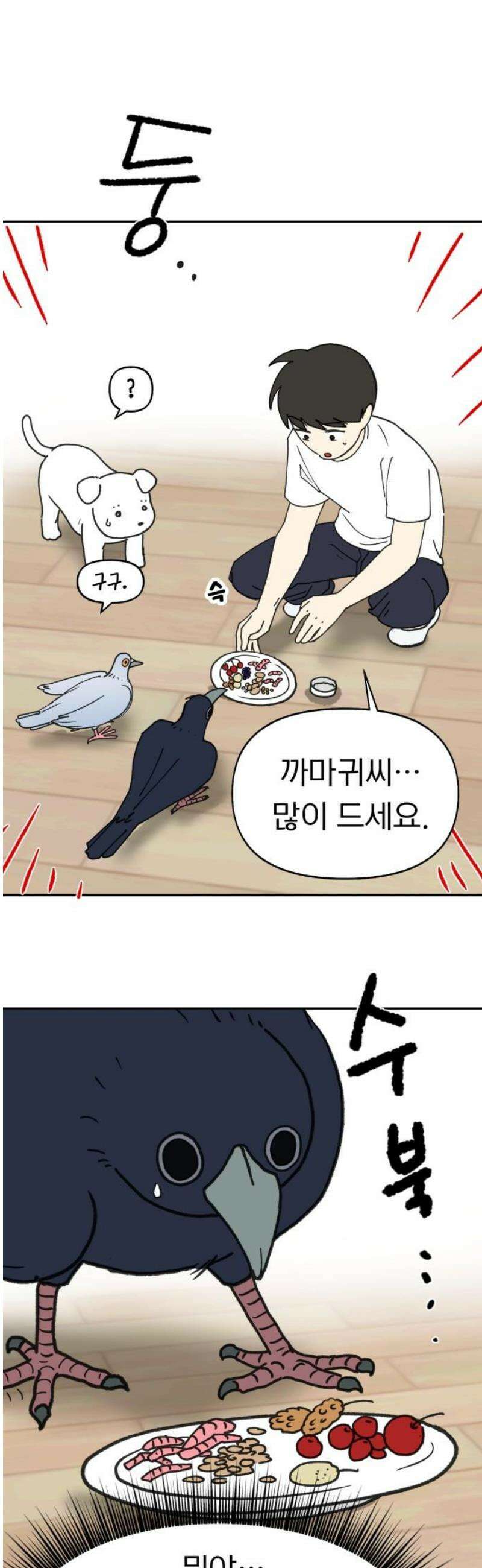 성북구 비둘기 이헌서 52화) 까악 까악 엉엉엉  [시즌1 마지막화] 3