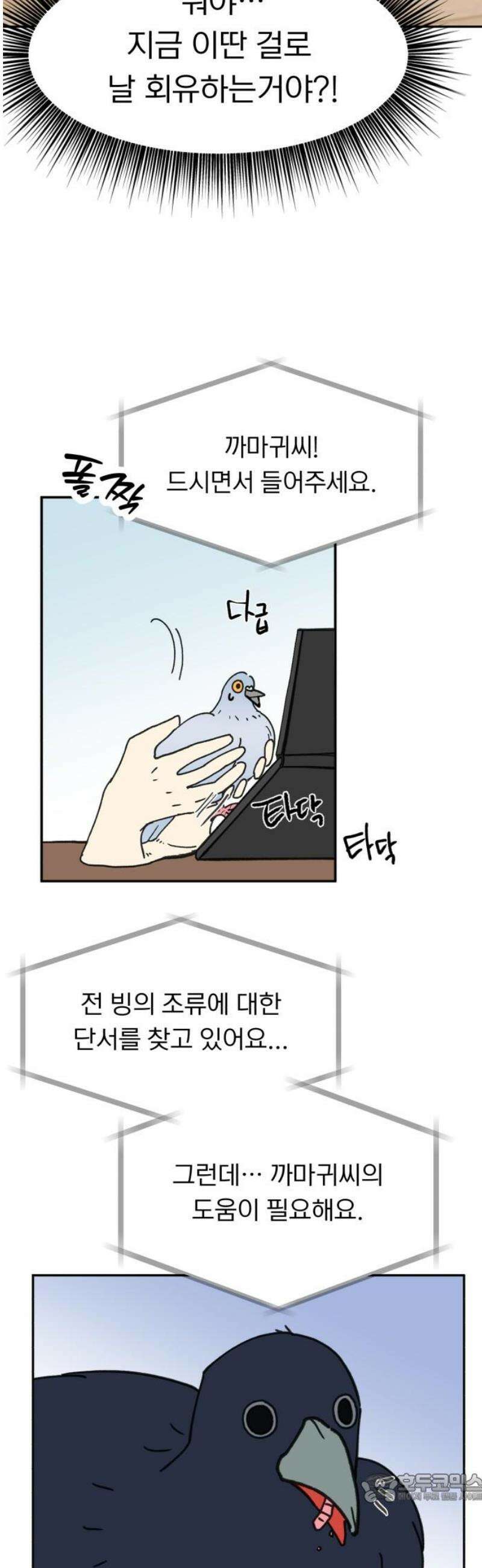성북구 비둘기 이헌서 52화) 까악 까악 엉엉엉  [시즌1 마지막화] 4