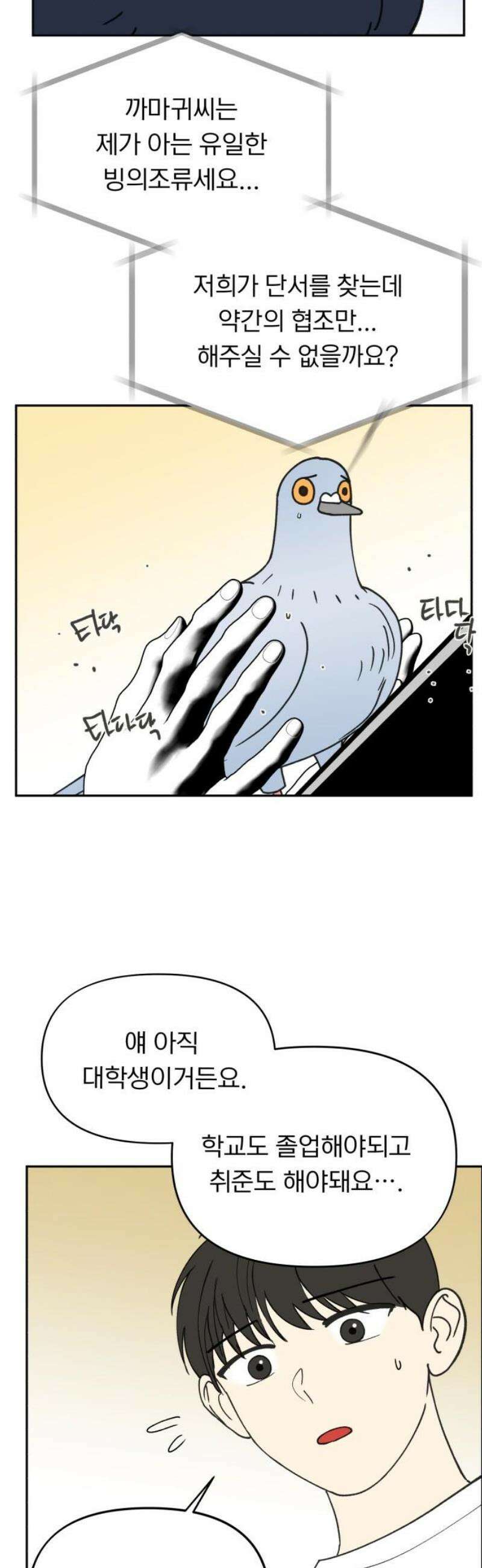 성북구 비둘기 이헌서 52화) 까악 까악 엉엉엉  [시즌1 마지막화] 5