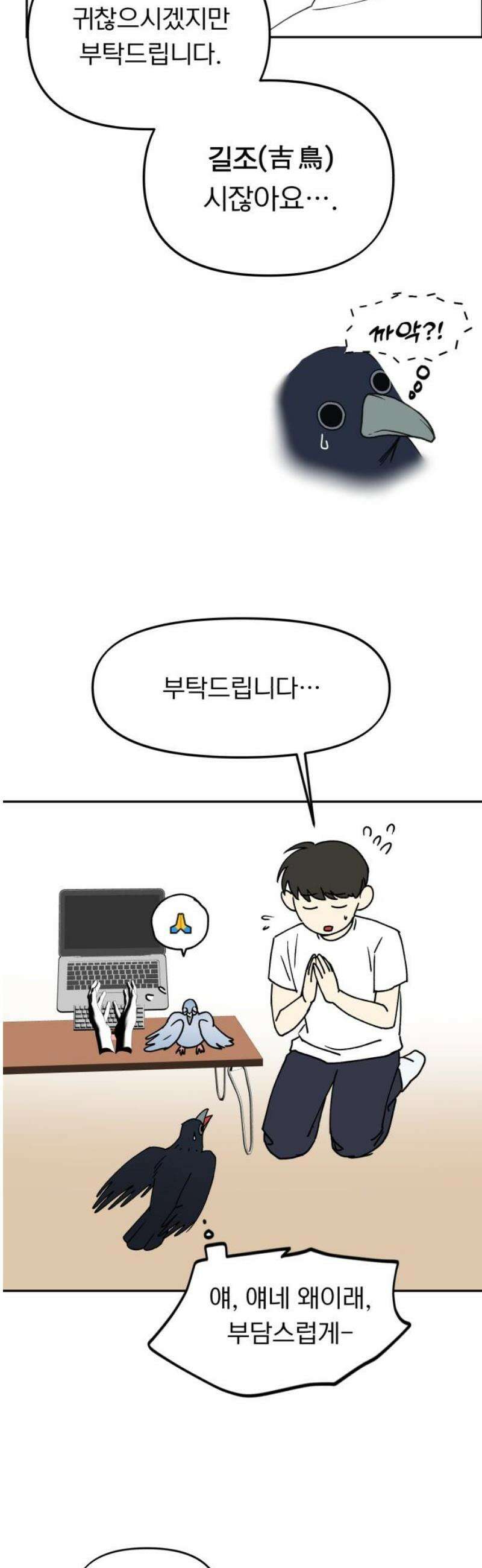 성북구 비둘기 이헌서 52화) 까악 까악 엉엉엉  [시즌1 마지막화] 6