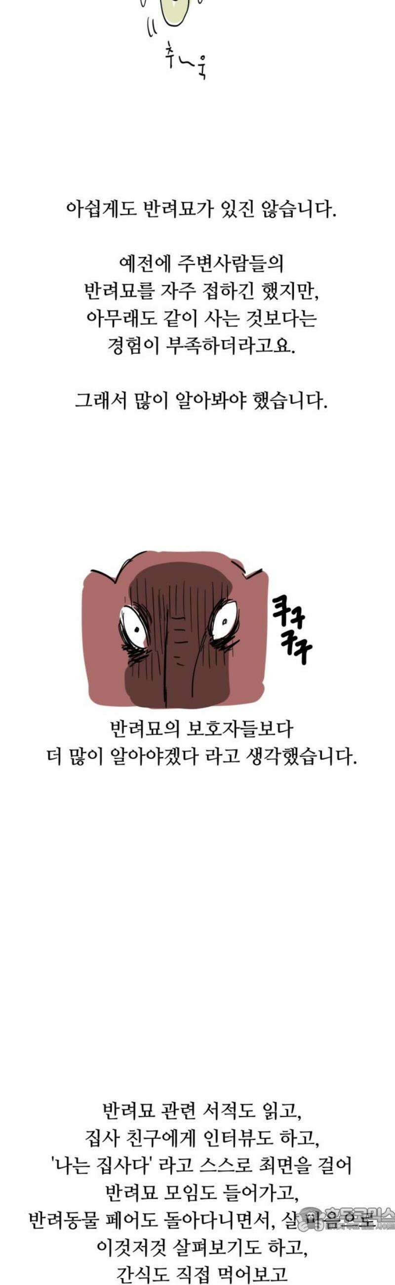 괴양이 [후기 ＆ 몇 년 후] 4