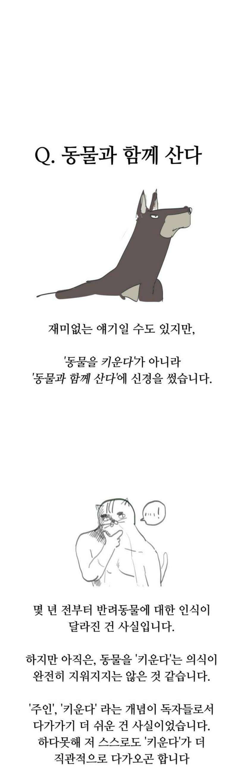 괴양이 [후기 ＆ 몇 년 후] 6