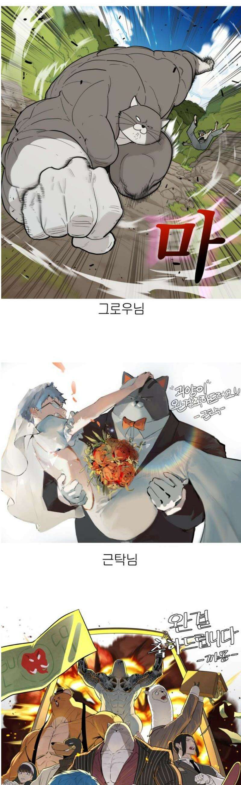 괴양이 [후기 ＆ 몇 년 후] 12