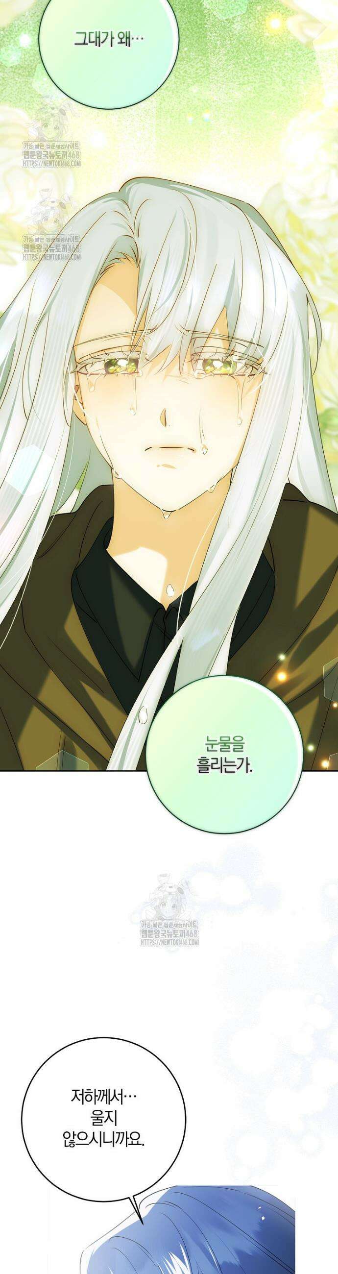 마녀의 아들을 지키는 이유 81화 17