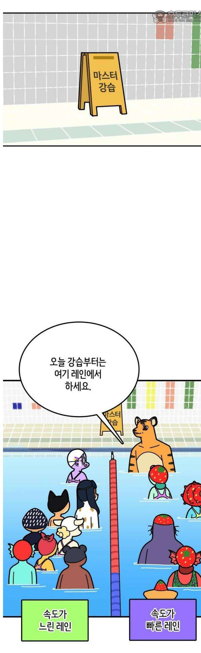 수영만화일기 시즌3 44화 도전! 마스터 반 선두! 4