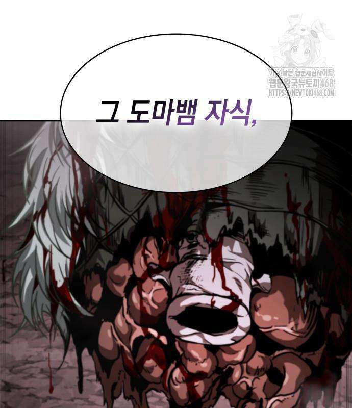 나노마신 264화 29