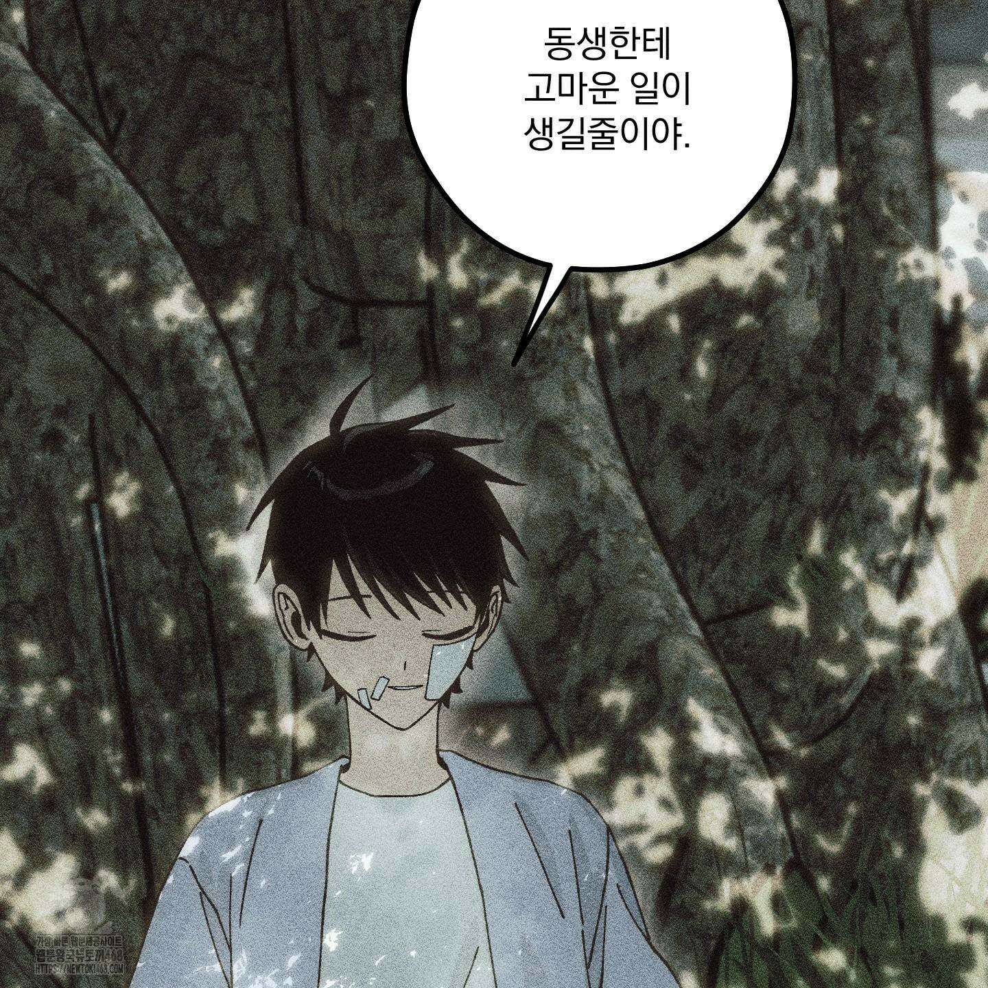 필름 로딩(film loading) 26화 13