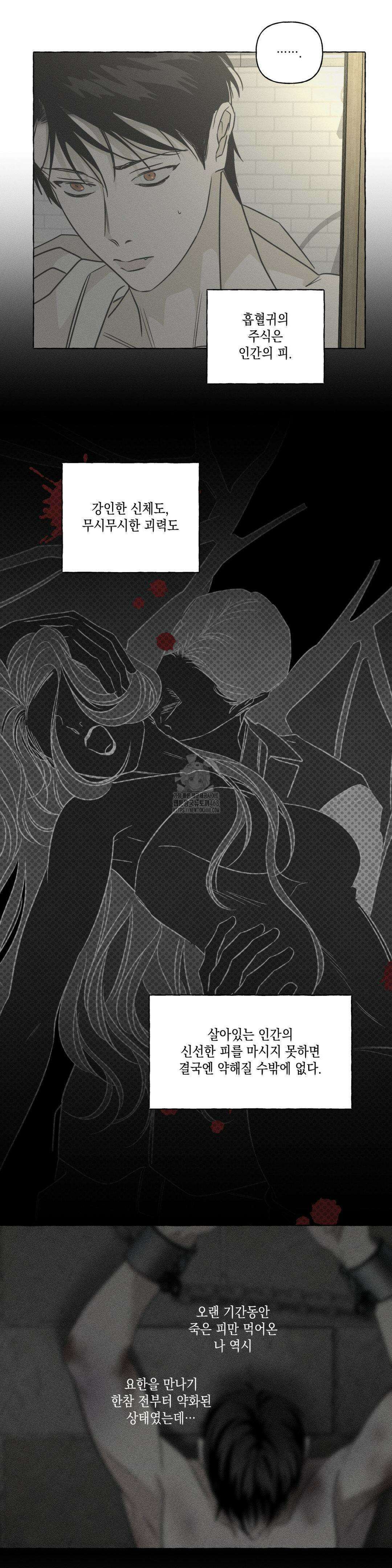뼈와 꽃잎 51화 5