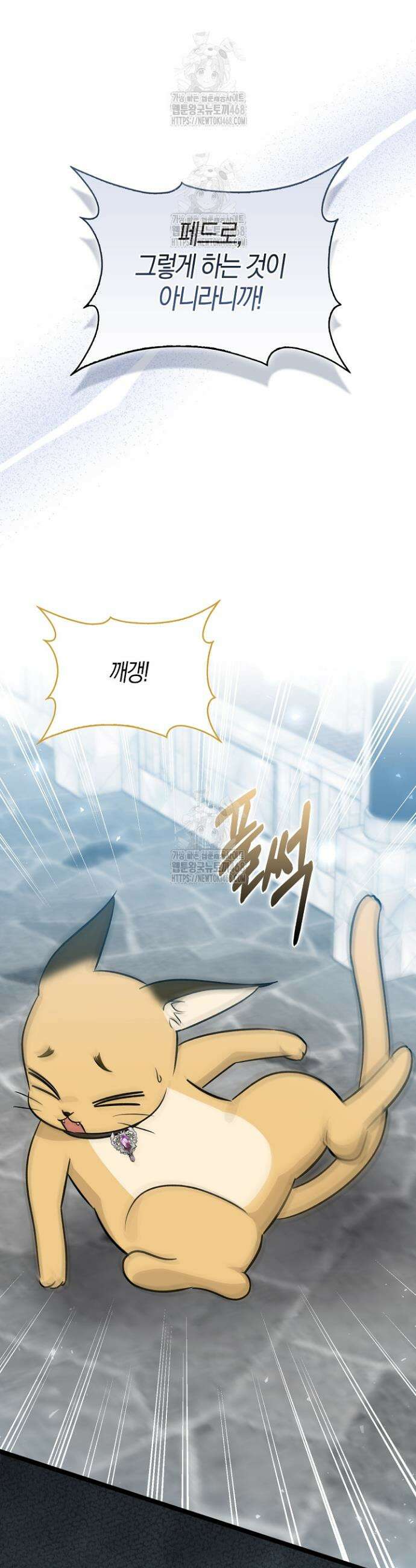 토끼라뇨, 누가 봐도 맹수인데 29화 7