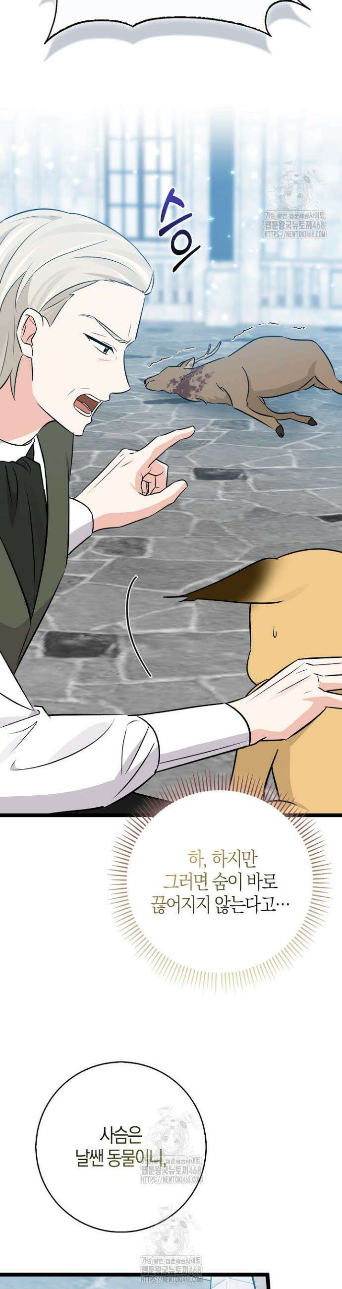 토끼라뇨, 누가 봐도 맹수인데 29화 9