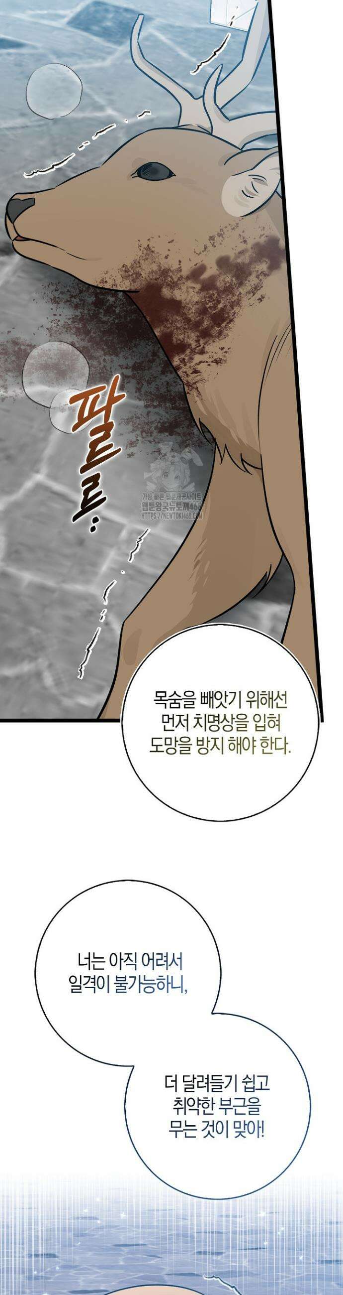 토끼라뇨, 누가 봐도 맹수인데 29화 10