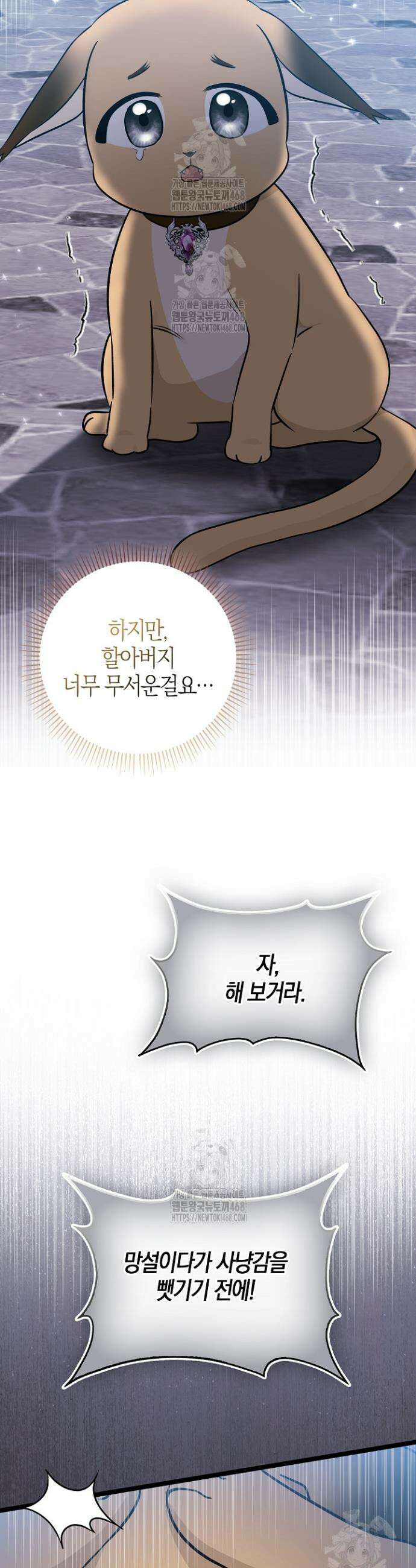 토끼라뇨, 누가 봐도 맹수인데 29화 11