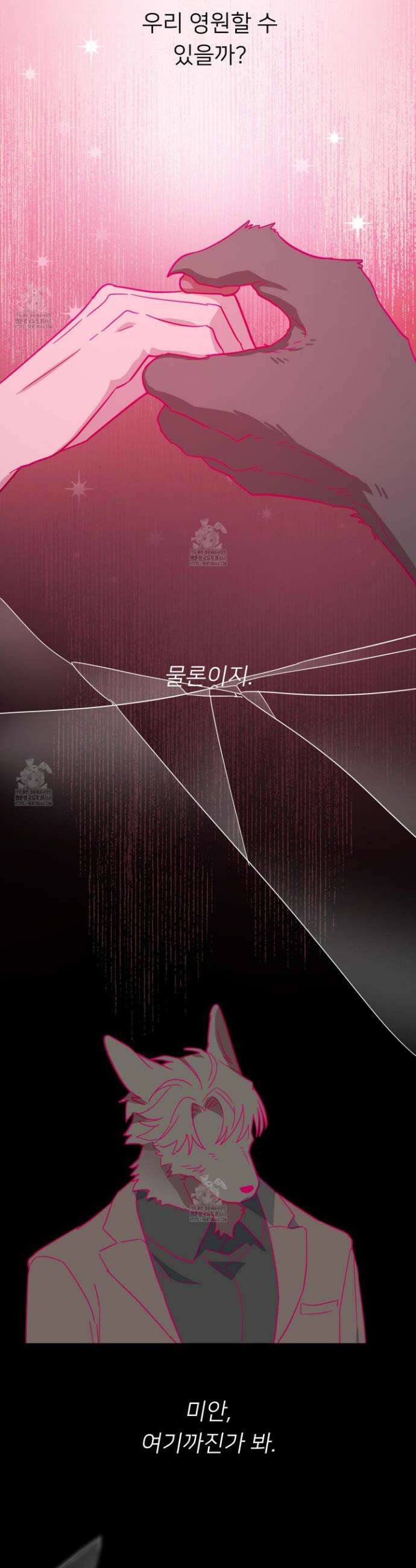 안돼요! 몰라요? 사실 알아요?! 41화 13