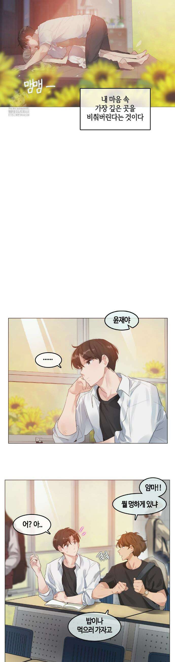 해바라기가 속삭이는 계절에 1화 3