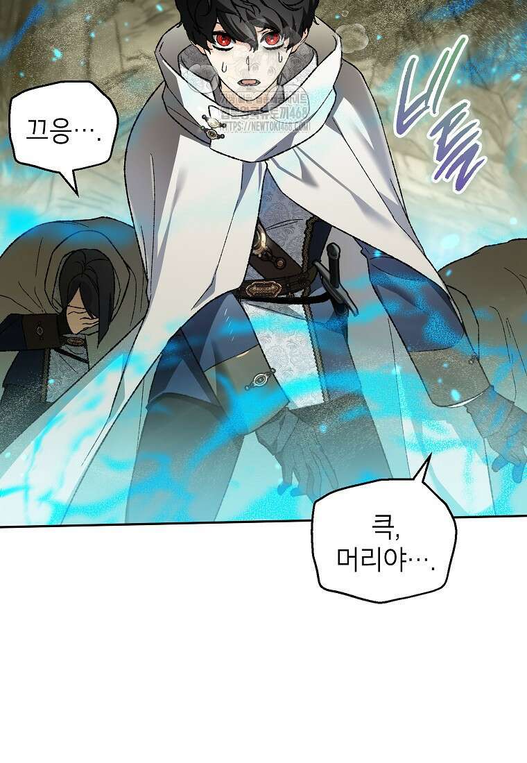 암흑명가 천재 망나니가 되었다 39화 76