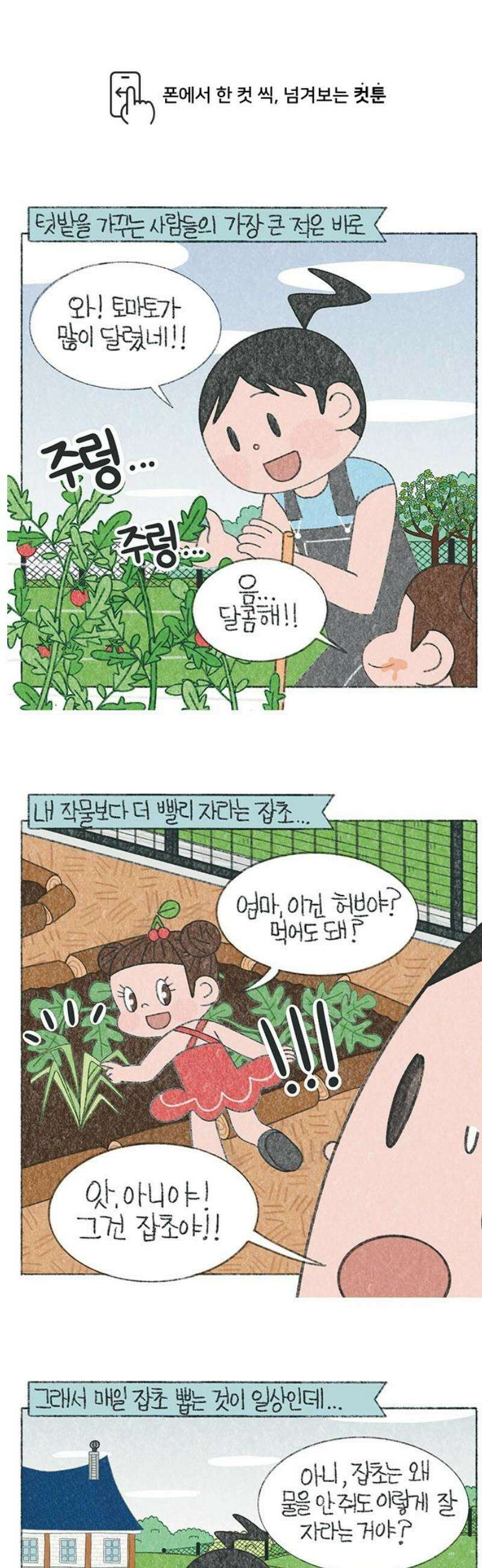 마님이네 미국 시골집 이야기 194화 한국에서 온 모기 스프레이 1