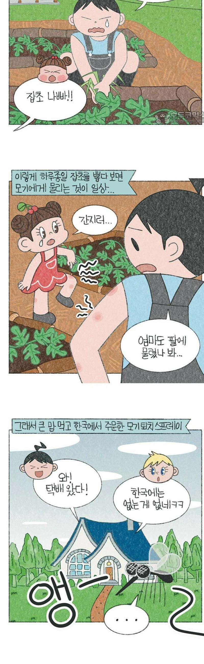 마님이네 미국 시골집 이야기 194화 한국에서 온 모기 스프레이 2