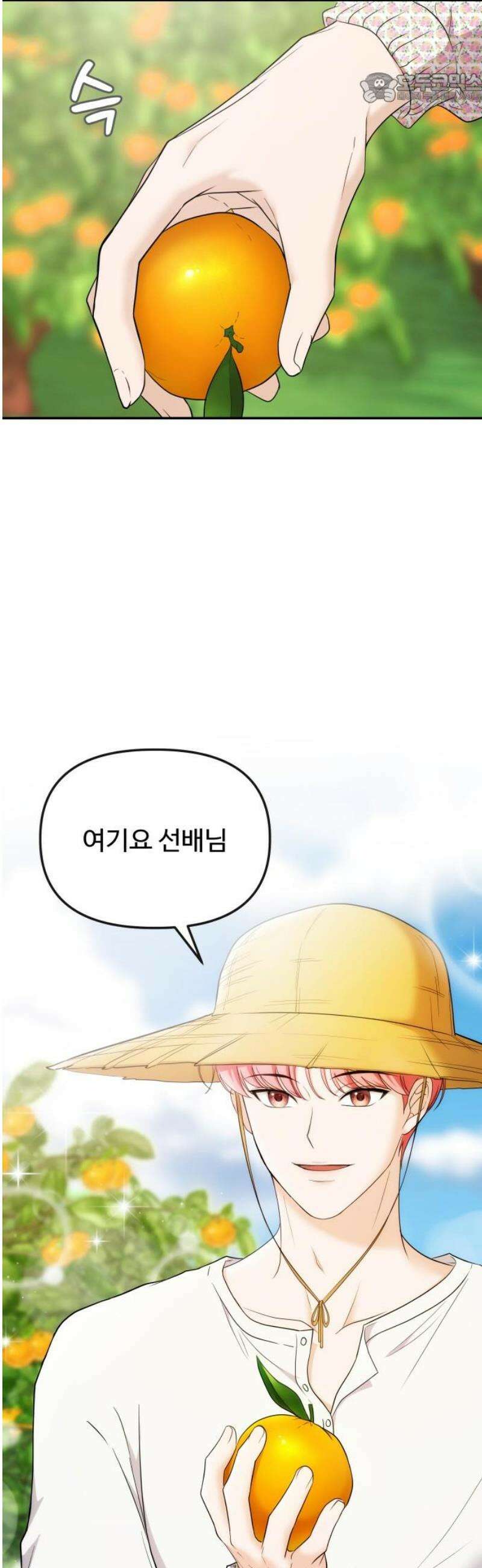 어느 날 갑자기 최애가 생겼다 17화． 거짓말이지? 37