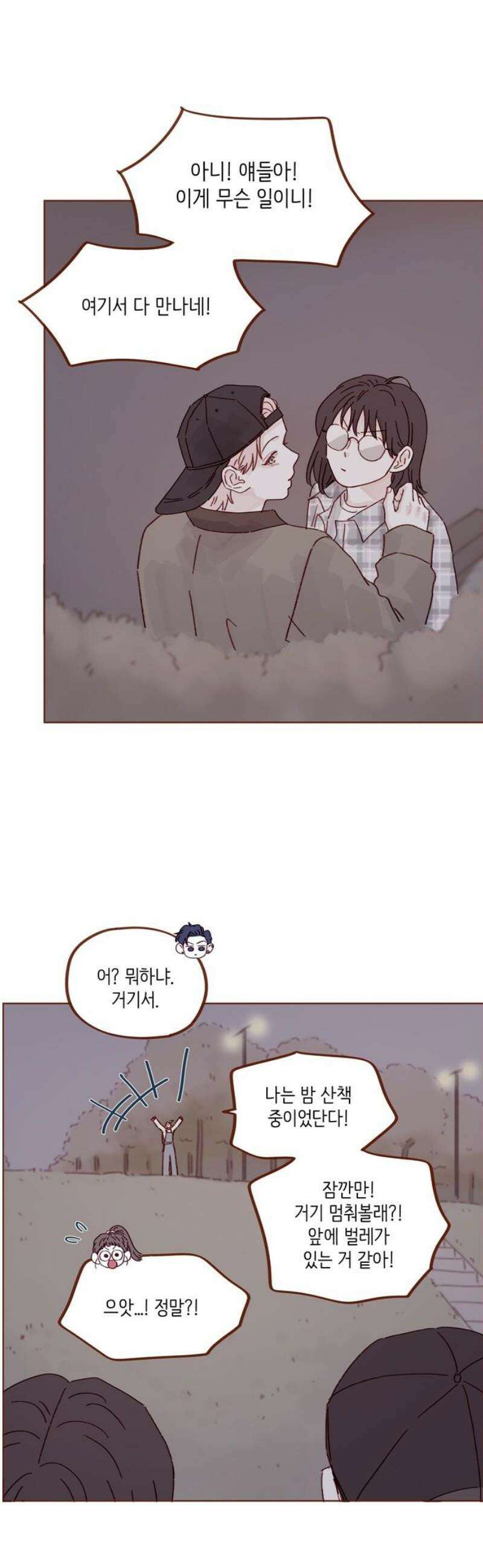 홍시는 날 좋아해 323화 : 널 좋아해서야 21