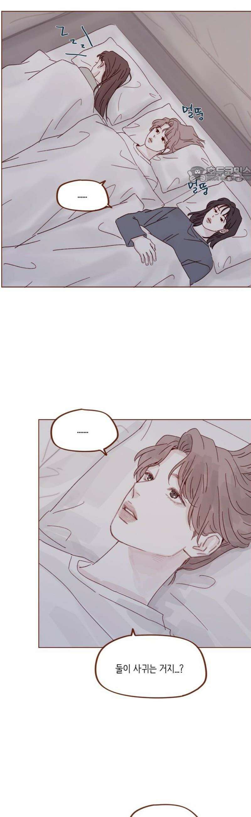 홍시는 날 좋아해 323화 : 널 좋아해서야 24