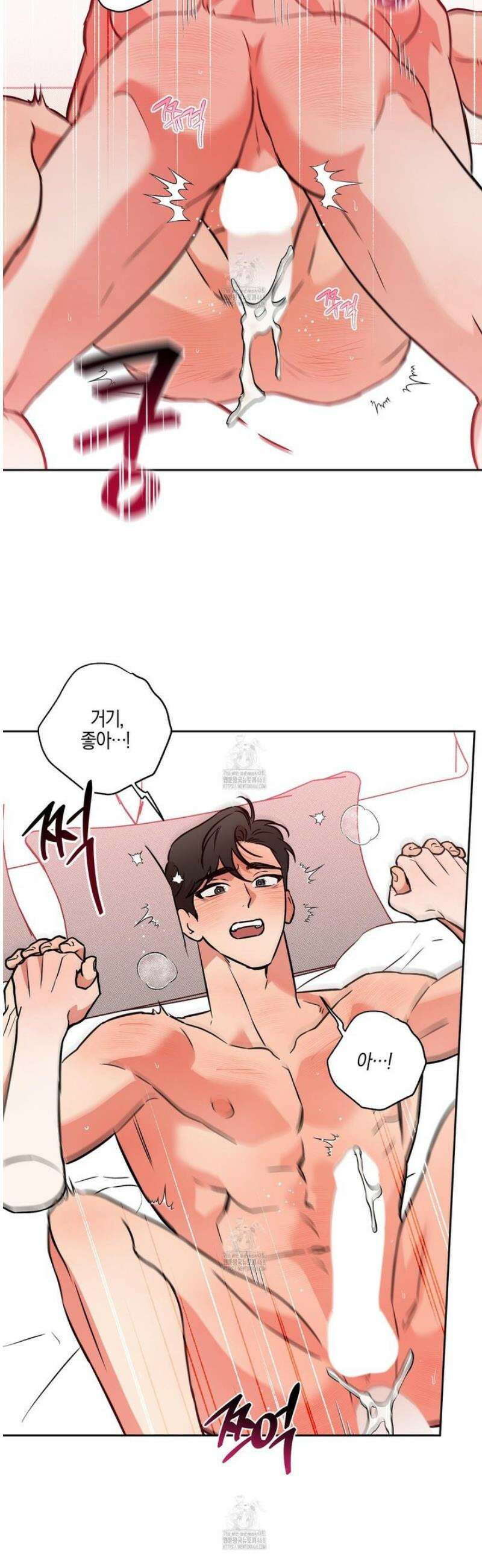 슈가트랩 31화 13