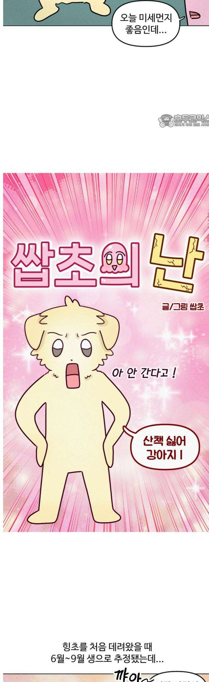 쌉초의 난 136화 산책 싫어 강아지1 2