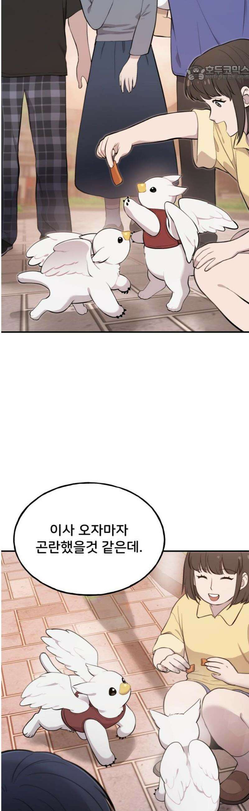 안녕 오목눈이 그리핀! 2화-임시 보호 7