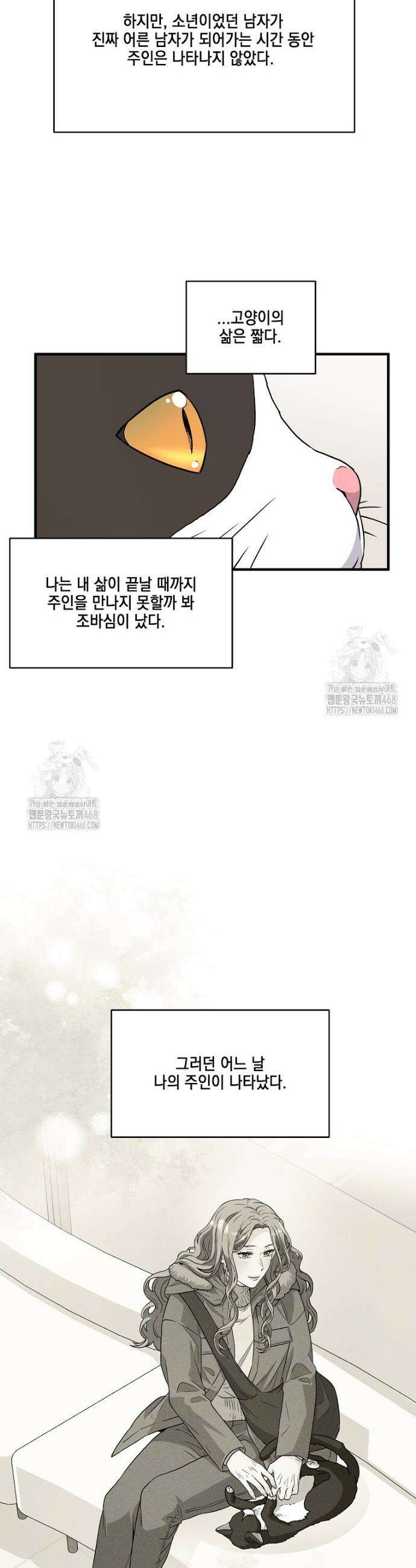 홈, 비터 홈 : 모텔 캘리포니아 40화 4