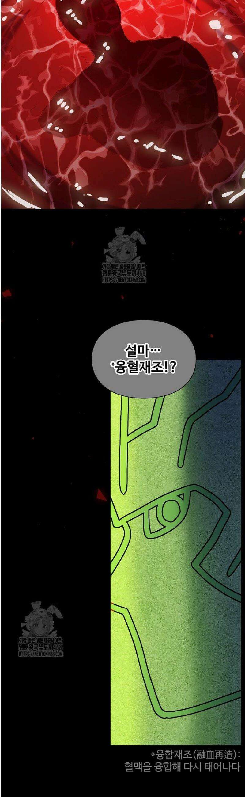 백련성신 1333화 26