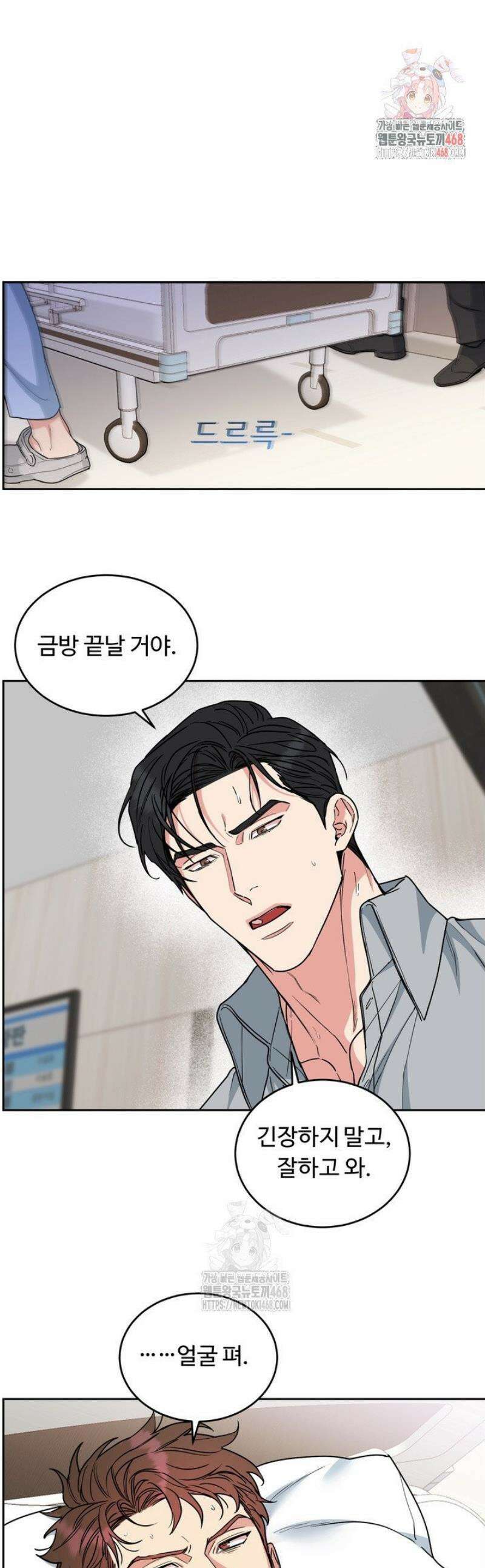 개와 새 51화 1