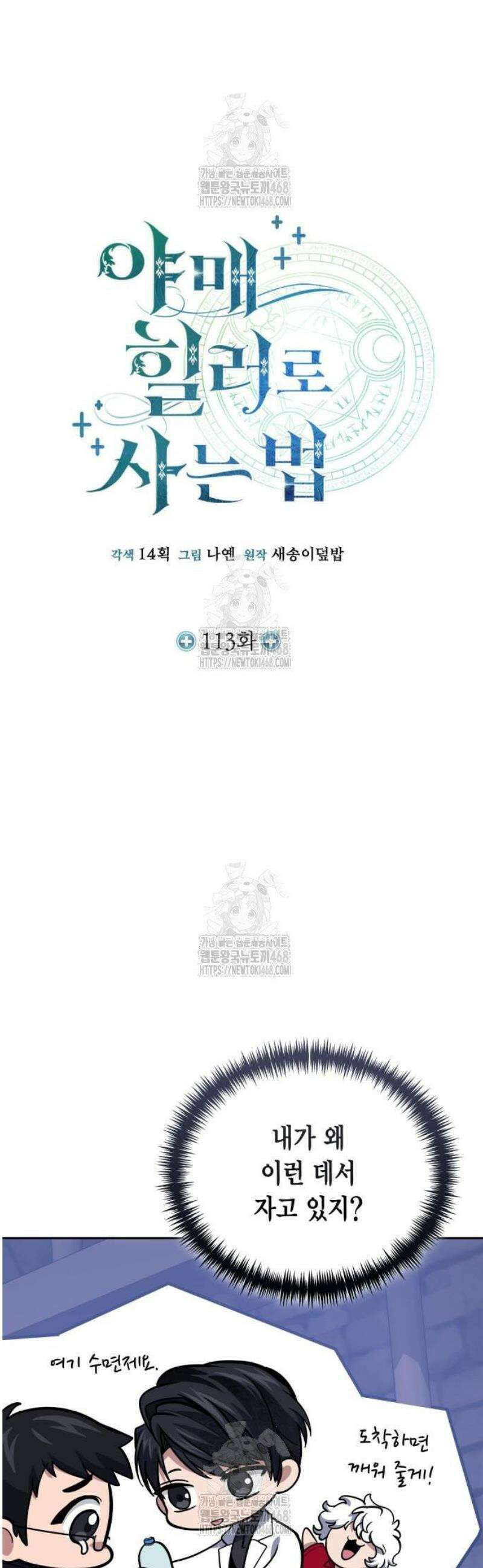 야매 힐러로 사는 법 113화 5