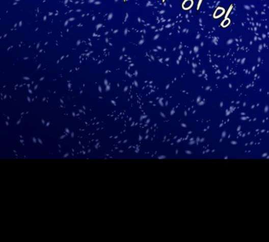 극야(네이버) 96화 80
