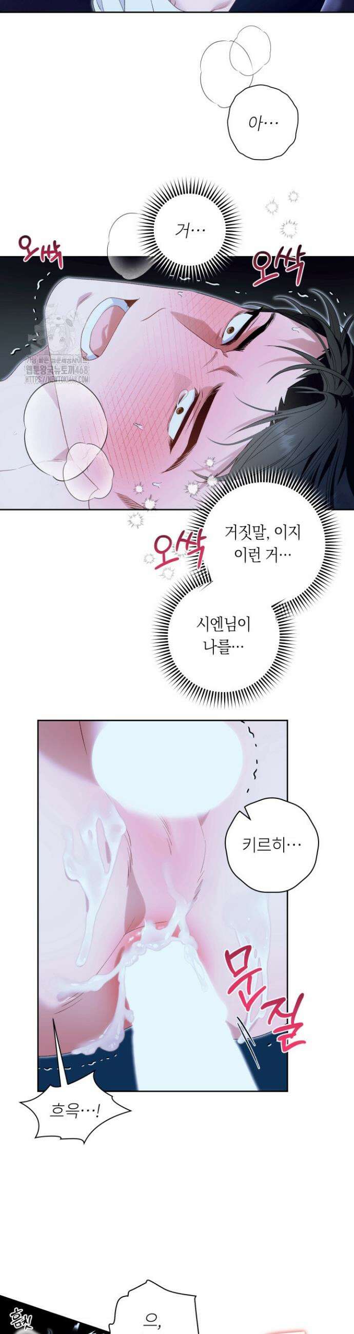 파테라 6화 3