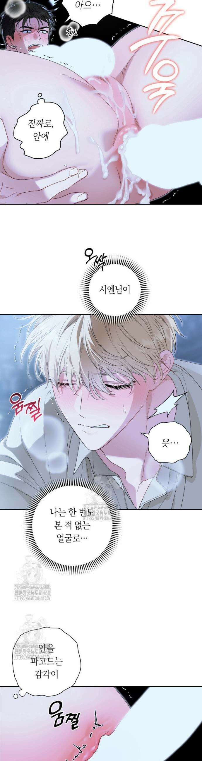 파테라 6화 4