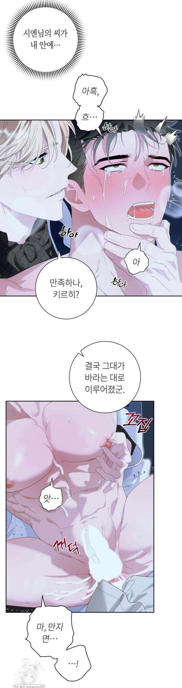파테라 6화 12