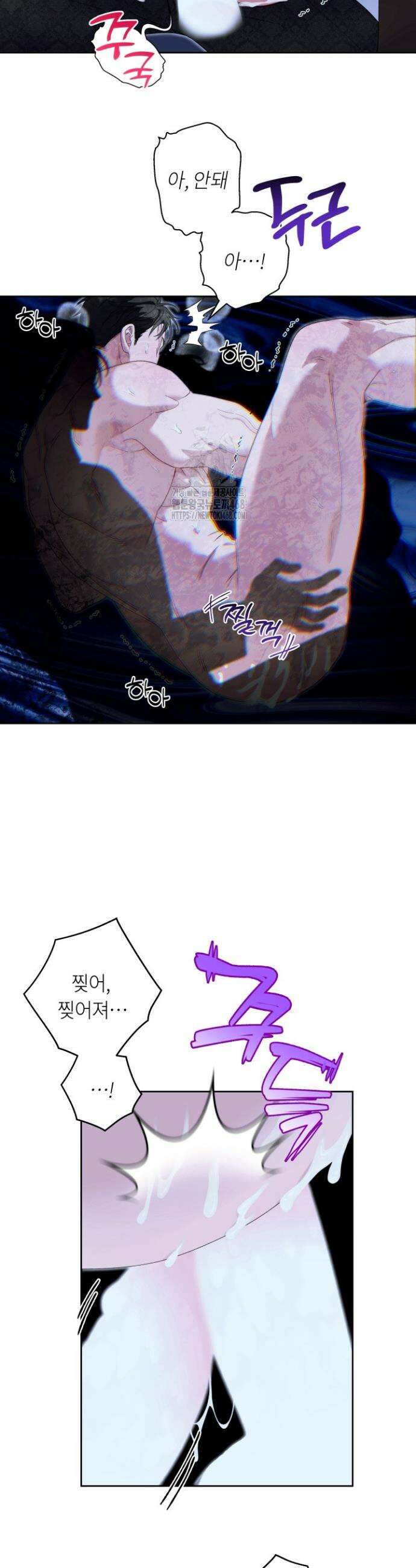 파테라 6화 16