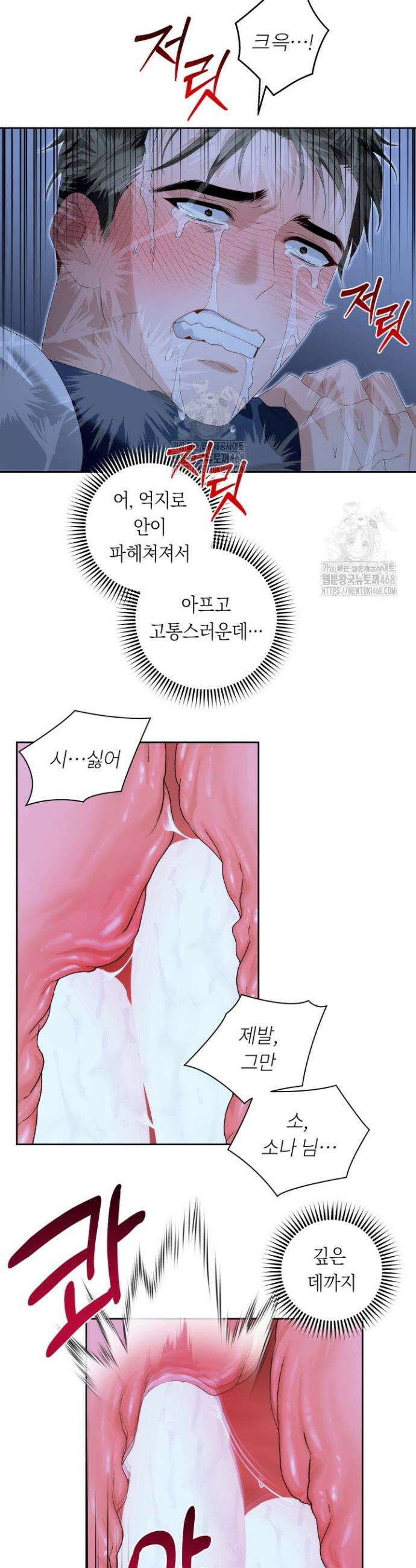 파테라 6화 17