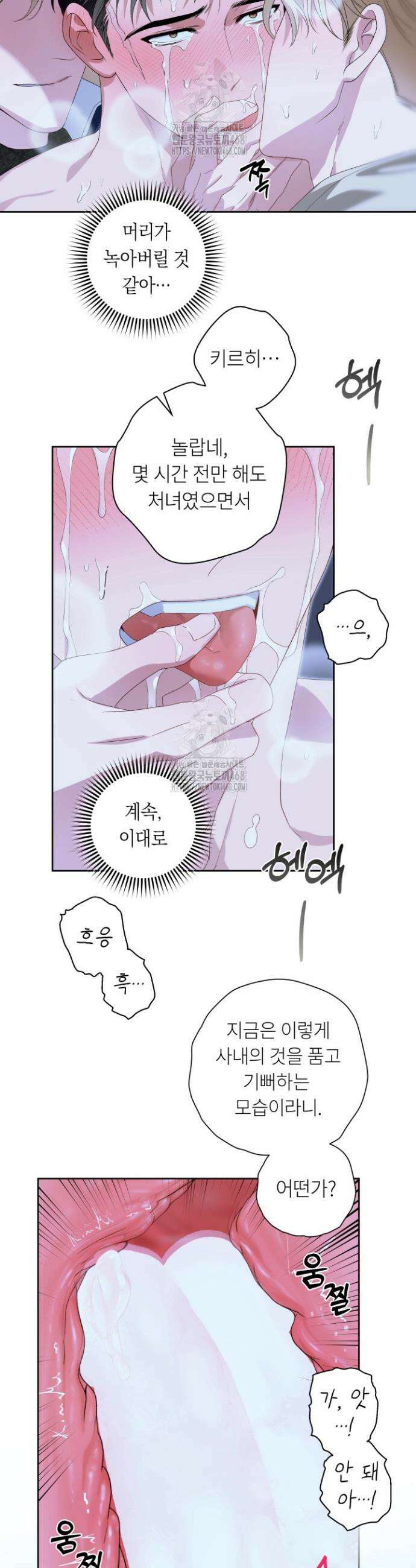 파테라 6화 20
