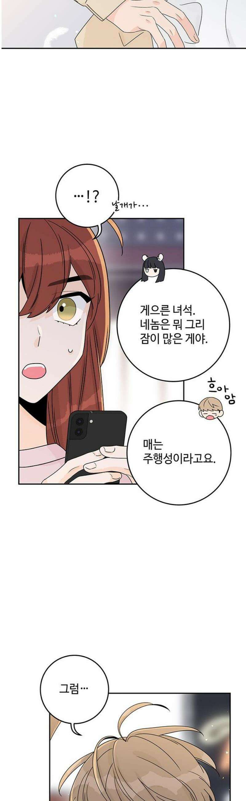 요괴삼월 22화 6