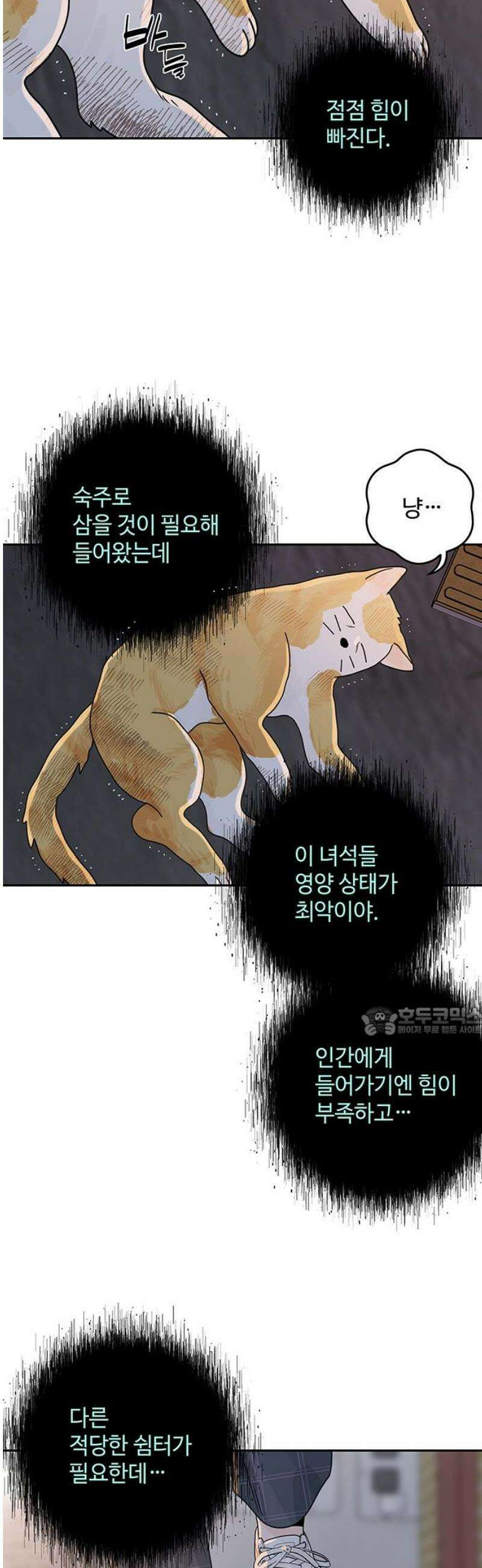 요괴삼월 22화 15
