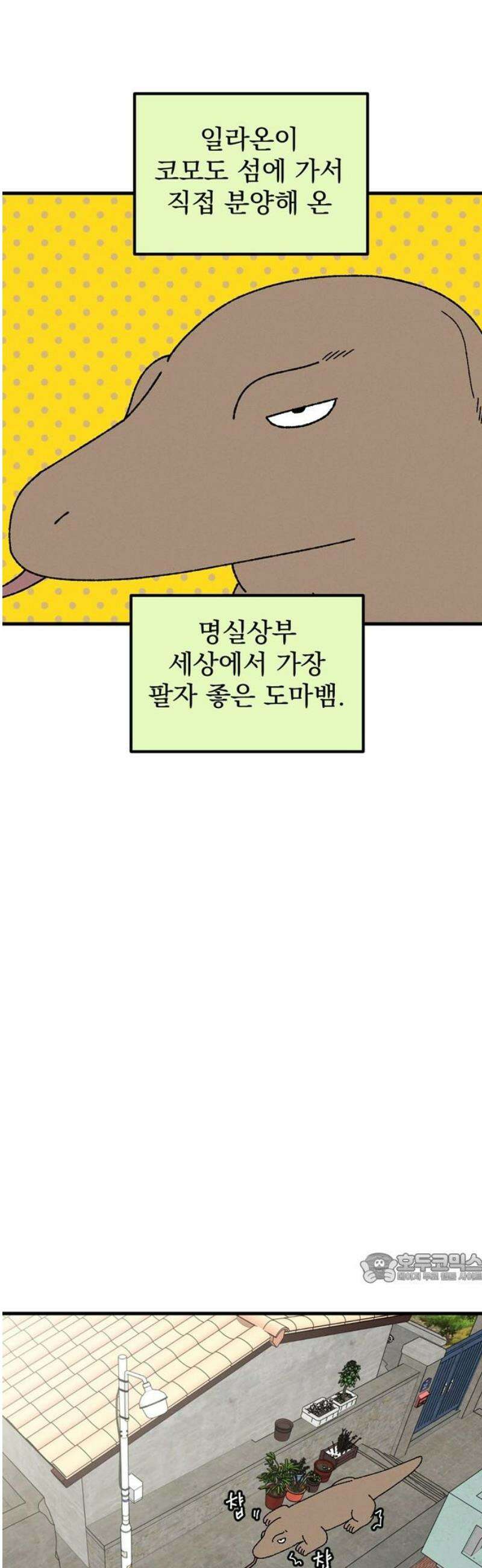 티라노 노경수 23크아앙 2