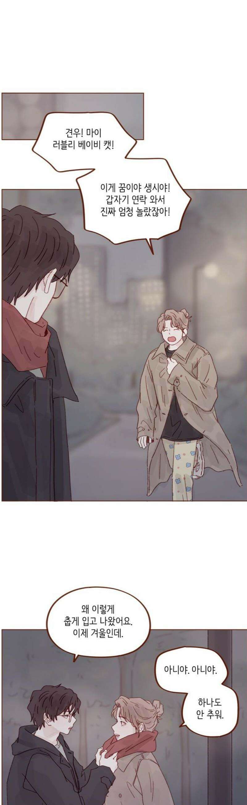 홍시는 날 좋아해 331화 : 보고 싶어서 온 건 맞아요 21