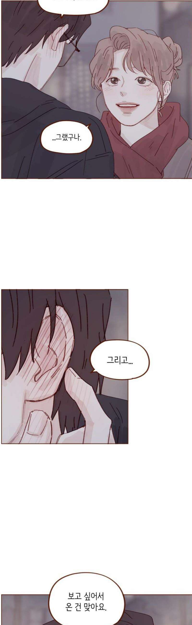 홍시는 날 좋아해 331화 : 보고 싶어서 온 건 맞아요 25