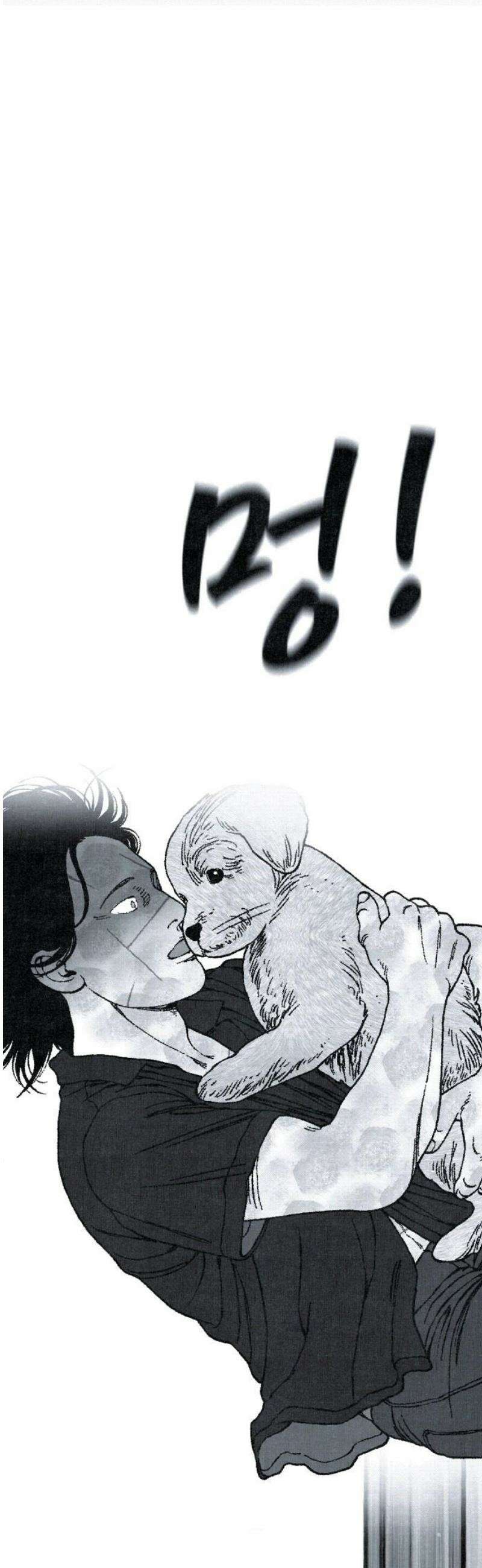 벌집 [마지막화] 35
