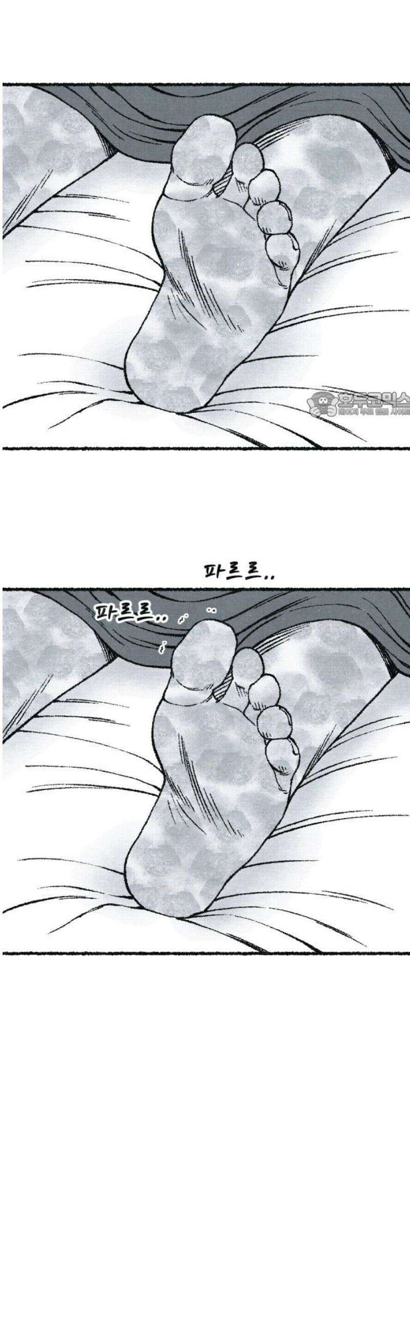 벌집 [마지막화] 71