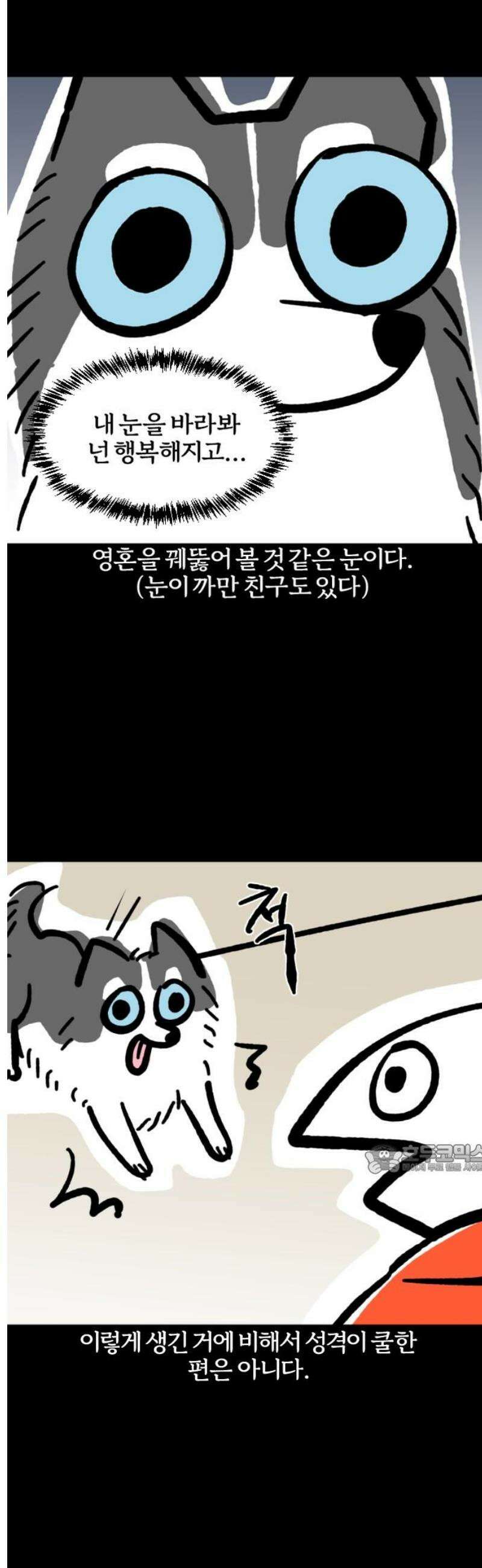 개집사 121화: 알바일지?견종특집? 10