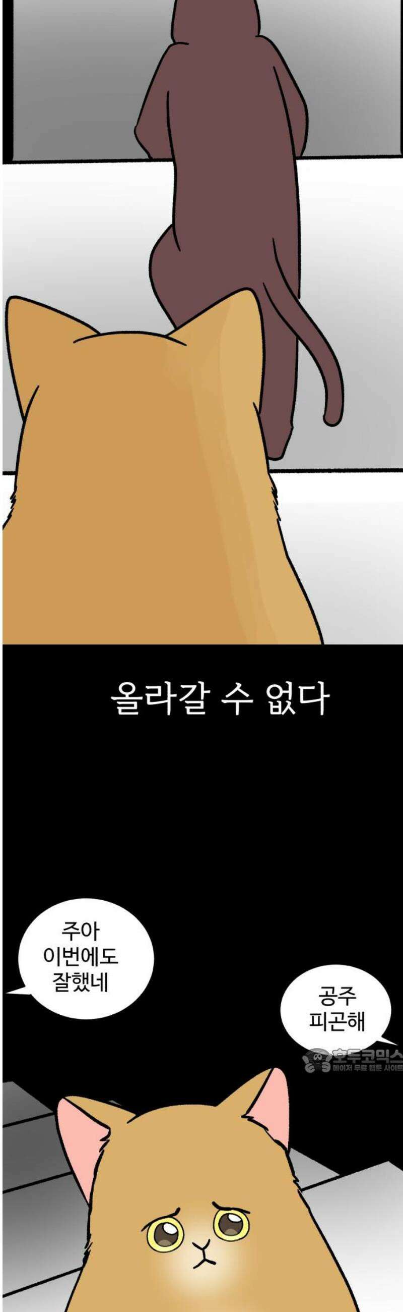 옹달샘 프로젝트 23화 두근?! 2