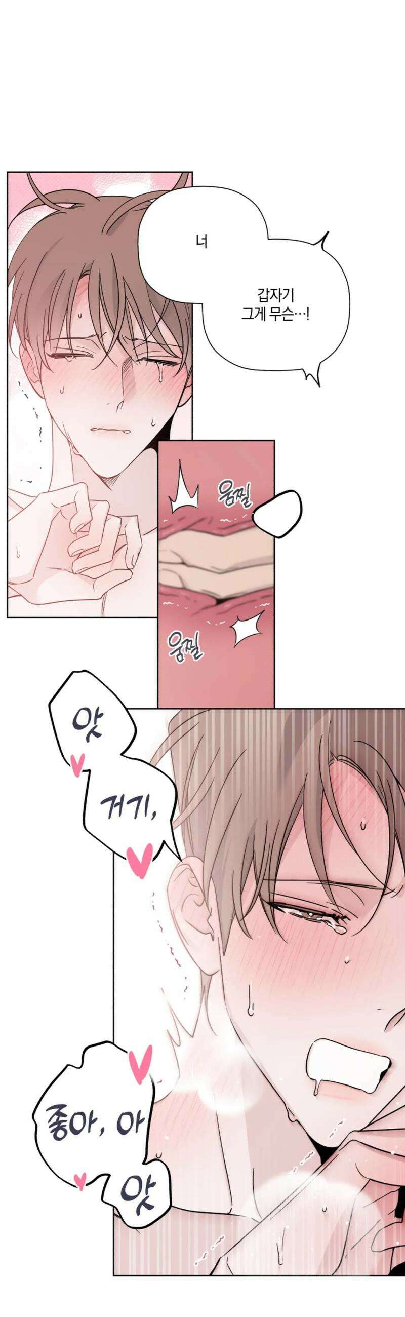 위시유 38화 [최종화] 12